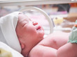 Newborn baby girl inside incubator in hospital post delivery room Newborn baby girl inside incubator in hospital post delivery room