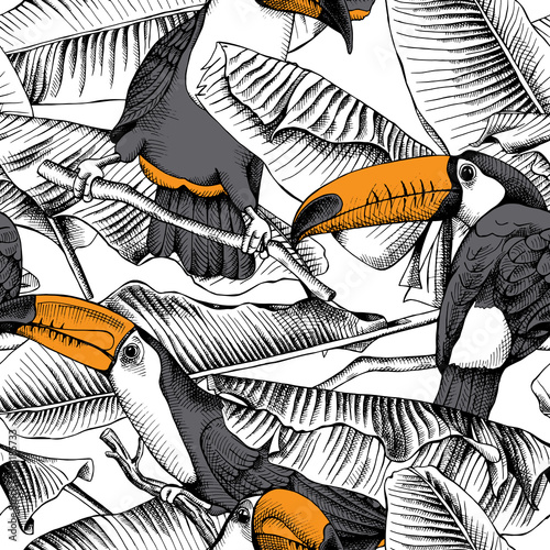 Fototapeta Seamless pattern with image of a Toucan and Banana leaves. Vector illustration.