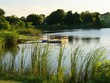 Wooden floating dock with railings in a pond, side view, framed by cattails and trees Wooden floating dock with railings in a pond, side view, framed by cattails and trees