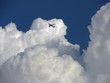 Big white fluffy clouds in a blue sky with an airplane flying above Big white fluffy clouds in a blue sky with an airplane flying above