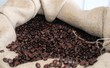 Coffee beans in a burlap sack Coffee beans in a burlap sack