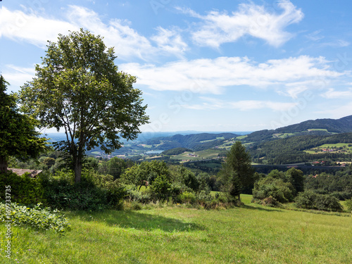 Blick auf den Stubenbergsee im Sommer, Steiermark