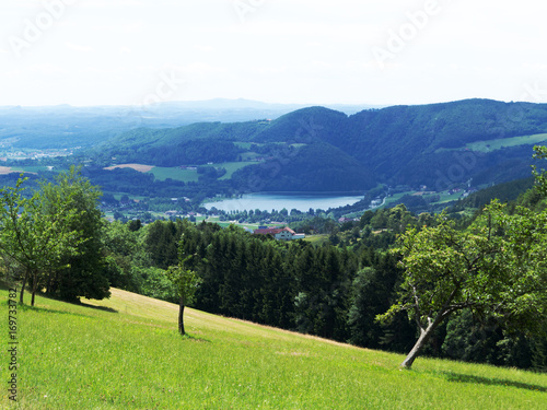 Ausblick auf den Stubenbergsee im Sommer, Steiermark