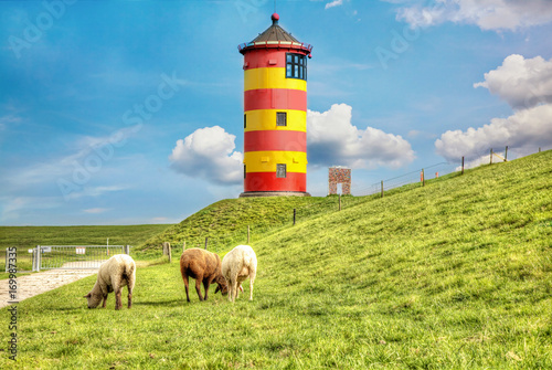 Zdjęcie XXL Owce przed latarnią Pilsum na wybrzeżu Morza Północnego w Niemczech.