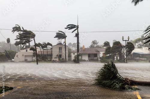 Plakat Zalane Las Olas Blvd i palmy dmące w wiatry, katastrofalny huragan Irma.