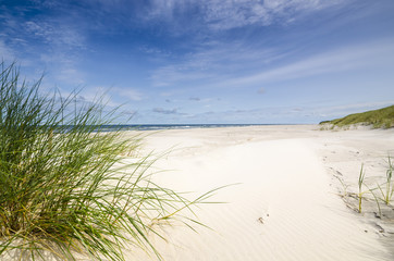 Plaża w Białogórze