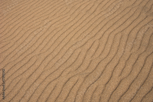 Sand Dune Ripples