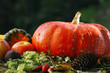 pumpkin and various fruits a wooden table. clouse up. pumpkin and various fruits a wooden table. clouse up.