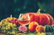pumpkins and grapes. a glass of wine. on a blurred background pumpkins and grapes. a glass of wine. on a blurred background
