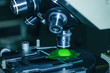 scientific microscope lens. watching leaf scientific microscope lens. watching leaf