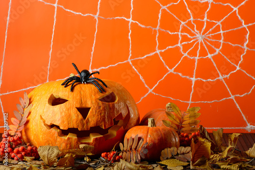 Plakat Straszna Halloweenowa bania i czarny pająk wśród żółtych liści na tle sieć w pomarańczowej ścianie