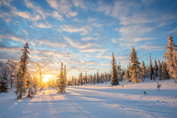 Snowy landscape at sunset, frozen trees in winter in Saariselka, Lapland, Finland