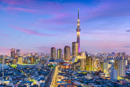 Tokyo, Japan Cityscape