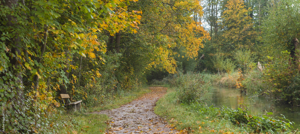 Ruhebank am Bach