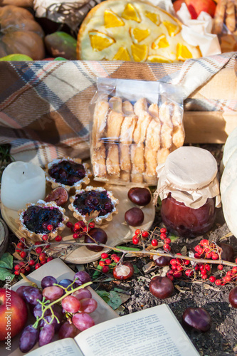 autumn picnic in the park with a basket and blanket