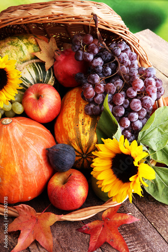 Autumn nature concept. Fall fruit and vegetables on wood. Thanksgiving dinner.