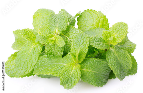Fresh mint on white background