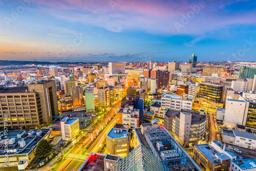 Toyama Japan Skyline