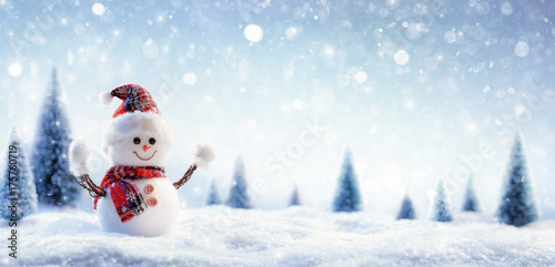 Snowman In Wintry Landscape © Romolo Tavani