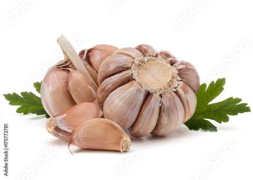 Garlic bulb and parsley herb still life isolated on white background cutout
