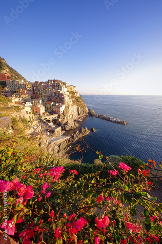 Manarola sea village in Cinque Terre, Italy