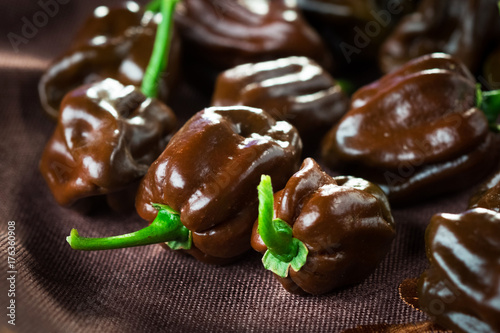 Habanero chocolate chili