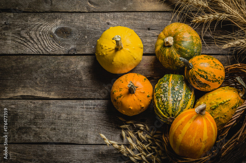 Thanksgiving concept - decorations with pumpkins