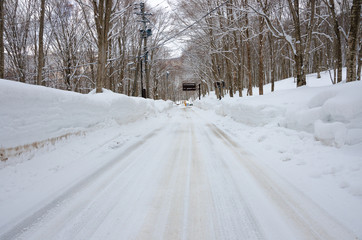 秋田の雪道