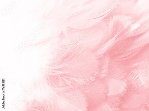 Coral Pink vintage color trends feather texture background  © nadtytok28