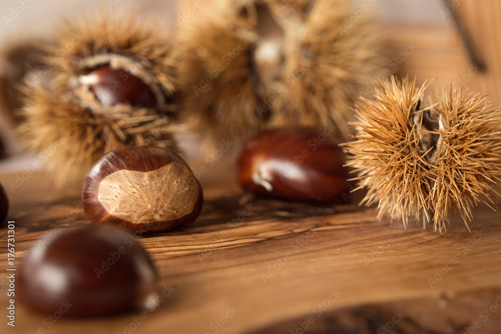 Kastanien im Herbst