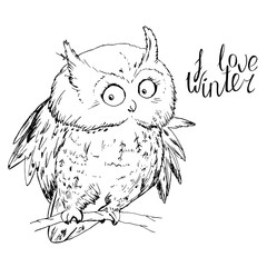 Owl sitting on tree branch and looking at camera at white. I love winter calligraphy phrase.