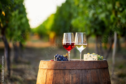 Two glasses of wine with food on a barrel in a vineyard