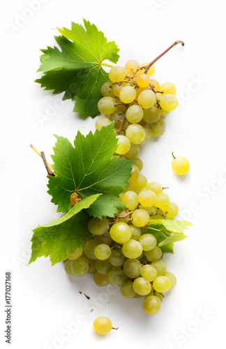 wine list background; sweet white grapes and leaf