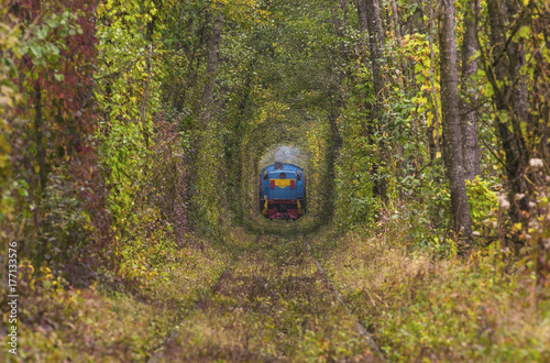 Plakat Stara opuszczona linia kolejowa, w alei zielonych drzew. Obiekt turystyczny. Osiedle Klevan. Region Rivnenskaya. Ukraina.