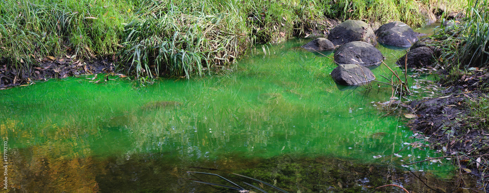 Umweltverschmutzung grüne Farbe in Bachlauf