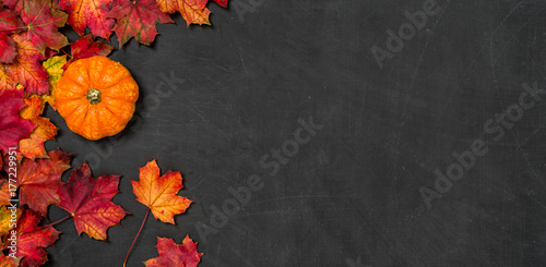 Herbstlaub mit Kürbis auf einem dunklen Hintergrund