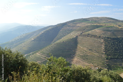 COA/DOURO VINHATEIRO