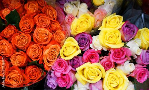 Close up on bouquets of colorful roses
