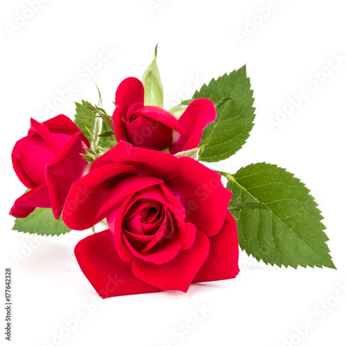 red rose flower bouquet isolated on white background cutout