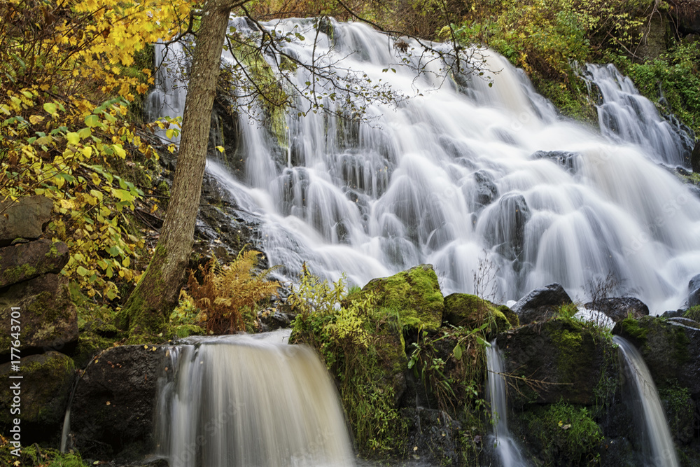 The mill of Rottle 4