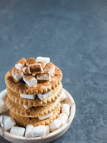 Zdjęcie XXL Marshmallow punkty z czekoladą na ciastkach w warstwach na textured szarość betonują tło. Skopiuj miejsce.