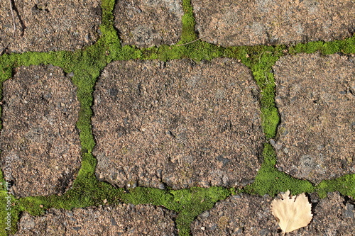 Rote Pflastersteine mit Moos in den Fugen