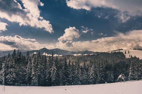Landscape in winter mountains.View of  foresty hills covered by snow. Old photo style.