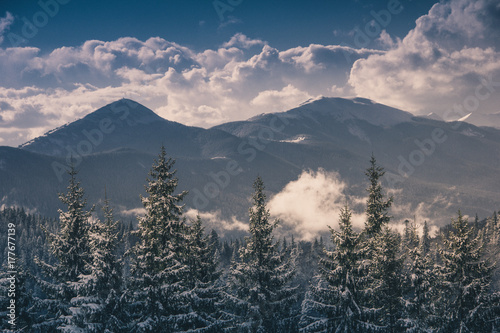 Landscape in winter mountains.View of  foresty hills covered by snow. Old photo style.