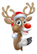 Santa Hat Reindeer Pointing from Behind Sign - 177805155