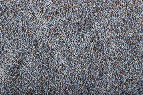 poppy seeds spice as a background, natural seasoning texture