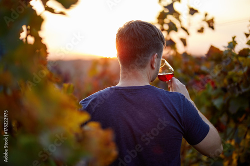 Man tasting red wine in a vineyard at sunset. Looking from behind.