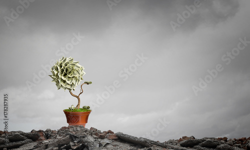 Make your income grow