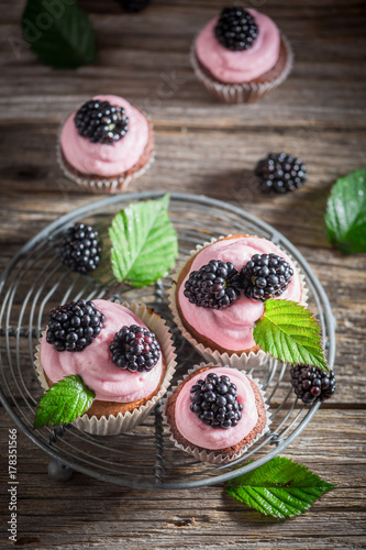 Homemade blackberry cupcake made of cream and fruits