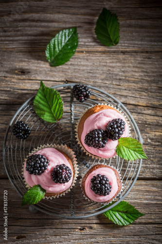 Tasty blackberry cupcake made of cream and fruits